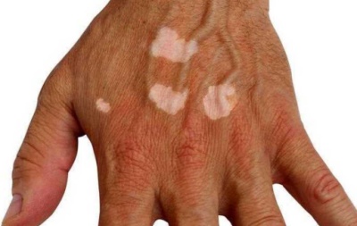 phpBj0Jwi