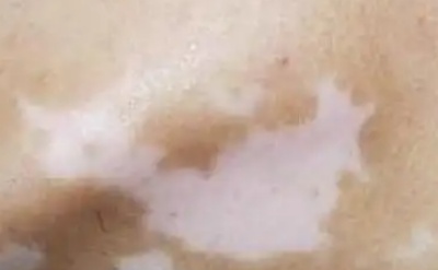 phpaarLg4